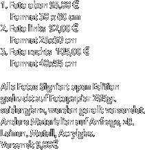 1. Foto oben 95,00 €